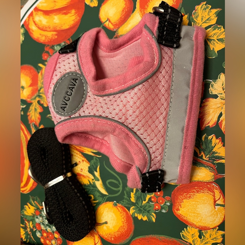 Pink XS Dog Harness and Leash
